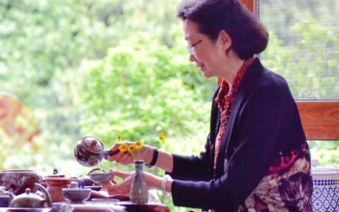 医生推荐的调理“四高”中药茶饮，快收好！-调理四高是真的吗