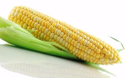 每天都喝一杯“玉米须”水，坚持一段时间后，身体会发生哪些变化-喝玉米须水一个月能瘦几斤