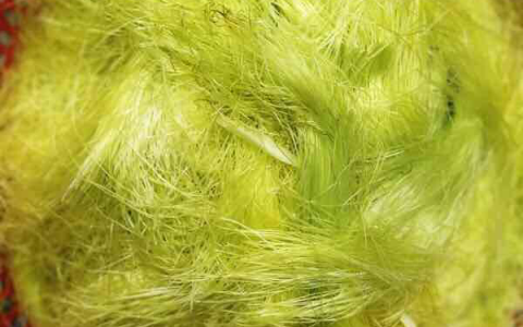 “玉米须”竟然能泡茶！清热又解暑，一起试试吧-玉米须茶泡水喝的功效