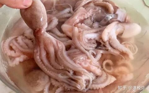 煮八爪鱼，有人用冷水，有人用开水，大厨：都不对，教你正确做法（煮八爪鱼用凉水还是热水）