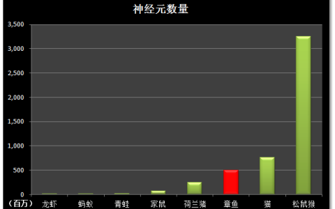 章鱼的智商到底有多高？为什么有人说它们的智商可以统治世界？（章鱼智商相当于人类几岁）