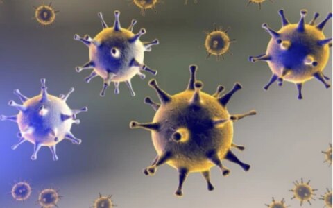 高尿酸的元凶找到了，远离这两样东西，尿酸变得稳定不高了-尿酸高避免哪些食物