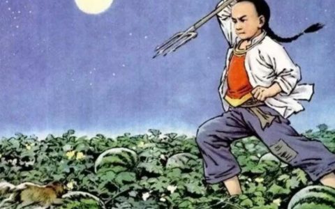 不做刀下八爪鱼！张雨绮首当其冲，愤怒全在令人胆寒的咔嚓声里！