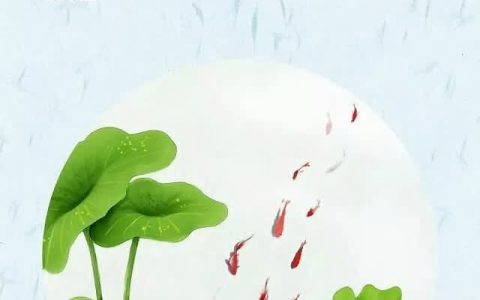 立夏已至，夏季适合吃什么食物？