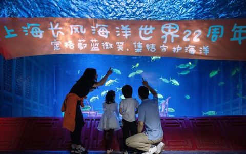 长风海洋世界推出鳐鱼湾，全球最大水下章鱼堡实景等你打卡01:02（长风海洋世界和海洋水族馆）