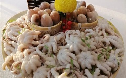 西坡：冰镇八爪鱼（西坡岭是哪里的城市）