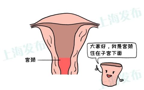 感染HPV≠得宫颈癌！听听宫颈怎么说-如果感染了宫颈癌病毒怎么办