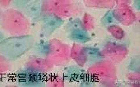 梅艳芳生命中最后的痛，几人能懂？-梅艳芳最欣赏的三个男人