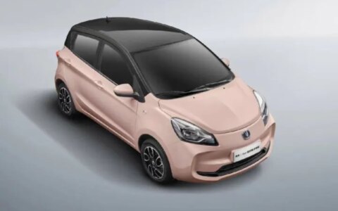 想买车再忍6个月！新一波新能源汽车降价潮要来了！-新能源车还会大幅降价吗