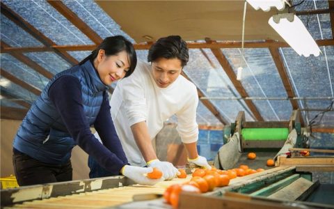 开办家庭小工厂，现在有哪些项目投资小、赚钱快、收益高呢？-家里开小工厂做什么好