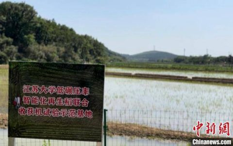 （聚焦中国高质量发展）江苏句容：生态之稻的致富之道-稻花香餐厅怎么样