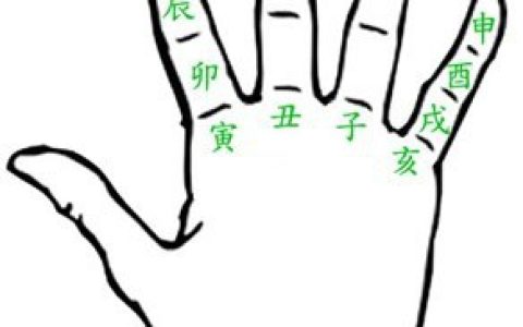 通过手掌推断年龄或生肖-手掌上查年龄属性的方法