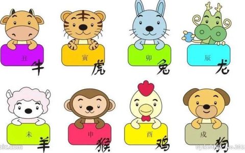 12生肖注意事项及何时走霉运-12生肖的说法