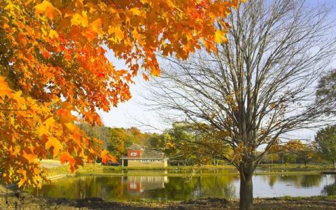 十二生肖属猴的人今年的虚岁和实岁-属猴的人今年多大年龄了2020年
