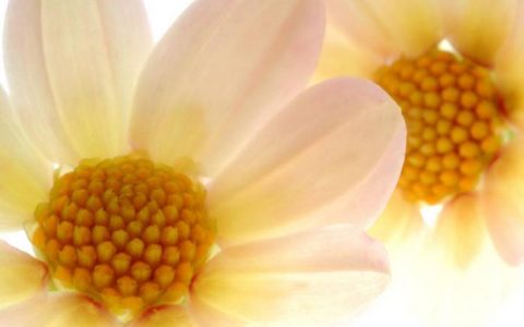 生肖猴从几岁开始，不容易亏钱，赚钱数字与日俱增-1992年出生的属猴人2023年运势