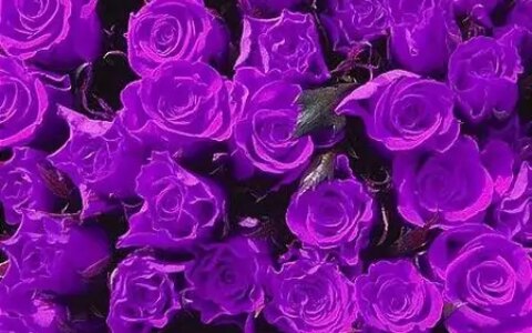 10月开始福星临门，财富数不清，天天都笑醒的四大生肖-福星10.24