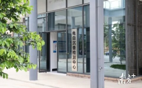 电白沉香检测中心通过CMA资质认定，报告具法律效力-电白沉香图片