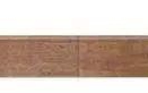 部编版语文五年级下册第五单元知识梳理及考点清单