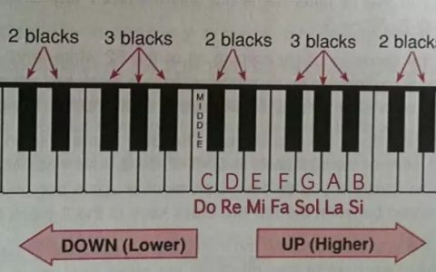 零基础学习钢琴-钢琴1234567指法 | 钢琴入门教程（钢琴入门指法教程 入门教程）