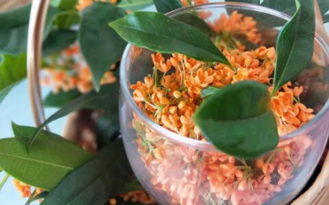 科普下“节”和“气”的不同-节气 节和气