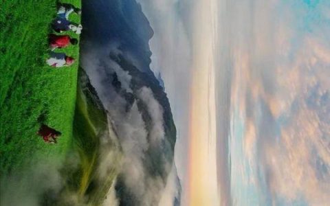 一轮备考文言实词的推断方法与技巧-文言文翻译之实词推断方法