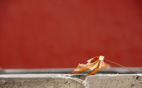 在“二十四节气”里读懂中国丨小雪：欲雪寻梅树，应节晚虹藏-24节气小雪的相关知识简介