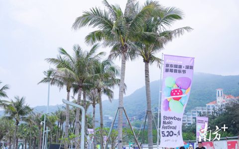 南方观察｜盐田，何以应“节”不暇？-盐田是什么意思