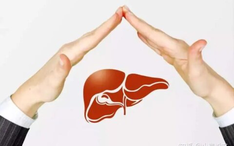 养肝护肝吃什么最好，这篇告诉您（养肝护肝吃什么食物最好窍门）