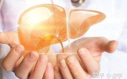 七种养肝蔬菜，春、夏季吃最养肝（硬化的肝怎么软化回来）