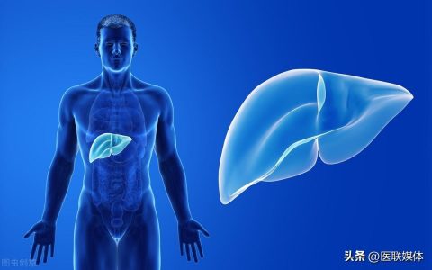 鸡蛋可以“修复”肝脏？坦言：这3种食物对肝脏有益，日常可多吃（鸡蛋对肝病有什么好处）