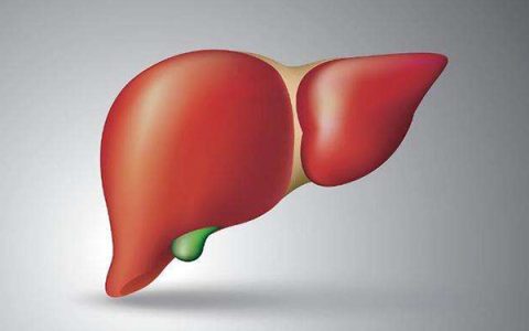 吴济堂：保肝护肝吃什么好？这几种食物要多吃，对身体好处多多（保肝护肝需要吃什么药好）