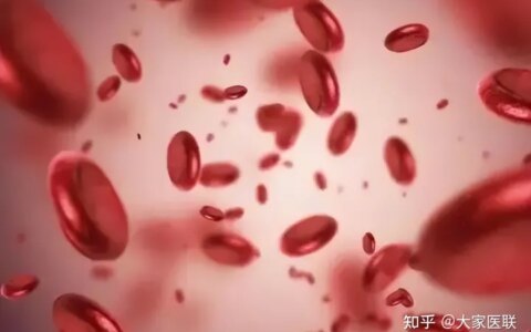 贫血的早期症状有哪些？-贫血早期症状和前兆