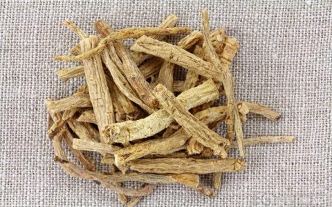 真正会养生的人都离不开黄芪！4大好处，谁用谁知道（黄芪的好处是什么和什么）