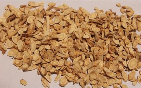 中年人每天用“黄芪”泡水喝，身体会收获哪些好处？不妨了解一下（经常用黄芪泡水喝对身体有什么好处）