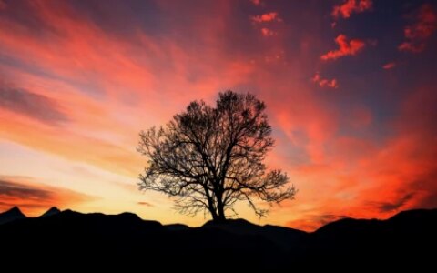 一个人倒霉之前，往往会出现这5个征兆，有一个，也要注意了！-当一个人倒霉的时候该怎么办