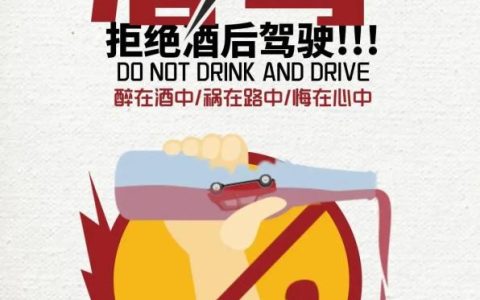 【反酒驾宣传】酒驾醉驾警示教育宣传丨生命无价，拒绝酒驾（酒驾醉驾警示教育片）