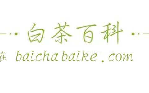 福建白茶有浙江安吉白茶到底有哪些不同？-福建白茶和福鼎白茶