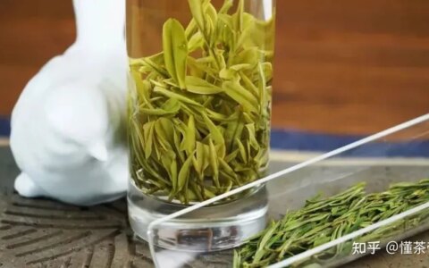 这些茶界中的“变态”，您都喝过几种？-茶界中国第九集