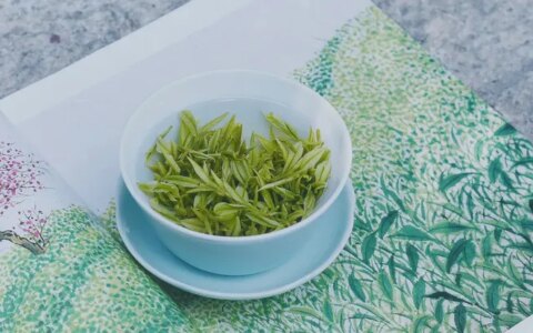 安吉白茶丨春日轻甜-安吉白茶都有什么功效和作用