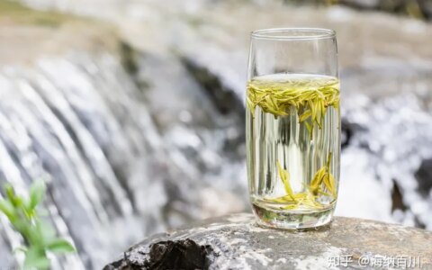 福鼎白茶与安吉白茶：所属茶系、感官特征、产地、品种、都不同-福鼎白茶与安吉白茶区别