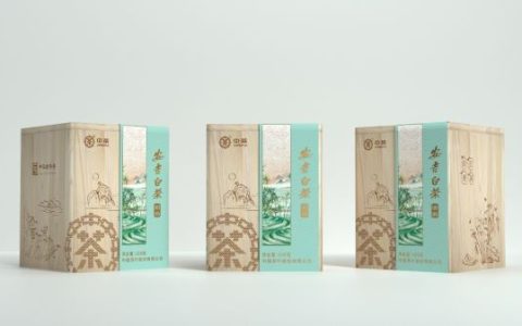 这些绿茶你爱吗？中茶2021绿茶攻略之“安吉白茶”-中茶安吉白茶120克