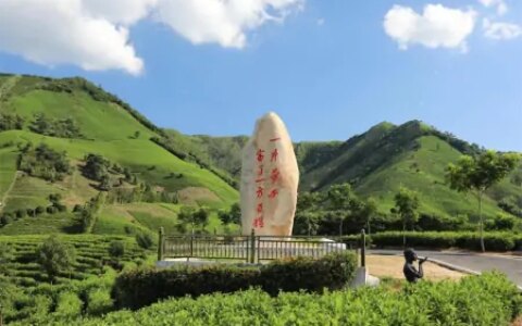 安吉白茶入选联合国教科文组织人类非物质文化遗产代表作名录-安吉白茶的传说