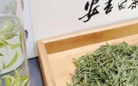 怎样分辨安吉白茶等级？安吉白茶分4级-安吉白茶茶叶等级