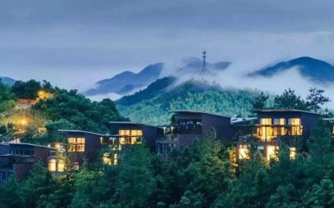 中国茶展上很少见到安吉白茶的影子【中国茶旅专业行】寻踪本土茶-安吉白茶介绍词100字