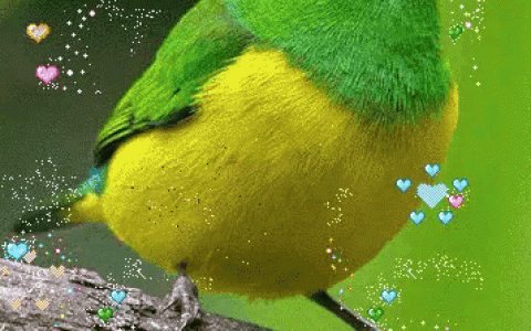 这，是我见过最美的景象，没有之一，建议收藏（另附：中华字经）（看到过最美的风景是哪首歌曲的歌词）