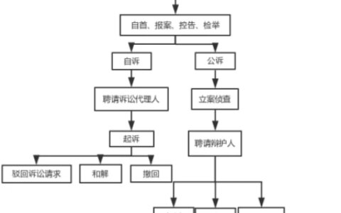 刑事诉讼的法庭审判程序-刑事诉讼法庭审流程