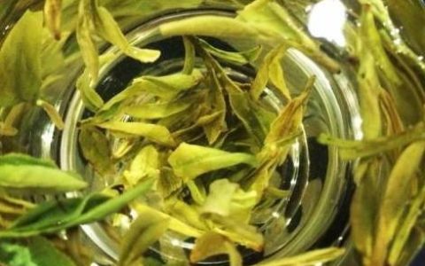 全国好喝又名贵的七大茶叶，排名不分前后，你喝过哪几种？（名贵茶叶排行价格）