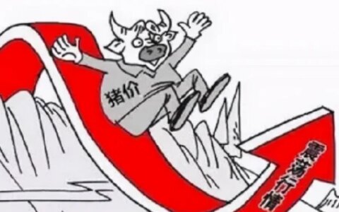 平地惊雷！猪价终于涨了，上涨原因是啥？端午仅是其中之一！-猪价上涨背后的原因