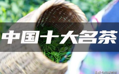 中国十大名茶排行榜：西湖龙井实至名归，四川仅蒙顶甘露一次入围（中国十大名茶2020）