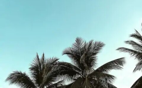 鄂尔多斯当地特色美食 鄂尔多斯的特色美食有哪些（鄂尔多斯必吃十大美食）